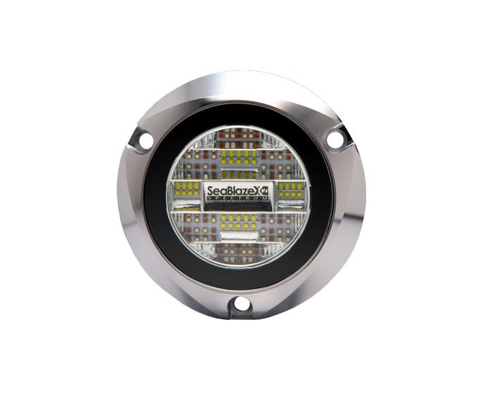 51UlQu0z0pL._AC_UF350,